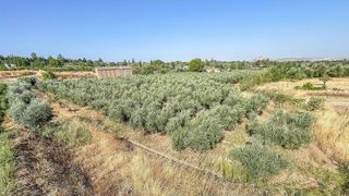 Terreno en venta en Otura