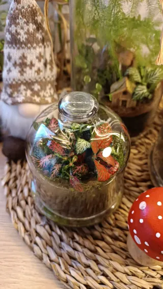 Terrarios autosustentables. Original regalo Navida