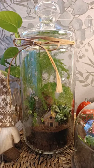 Terrarios autosustentables. Original regalo Navida