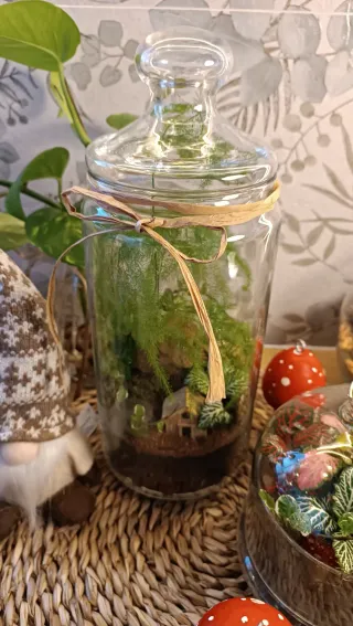 Terrarios autosustentables. Original regalo Navida