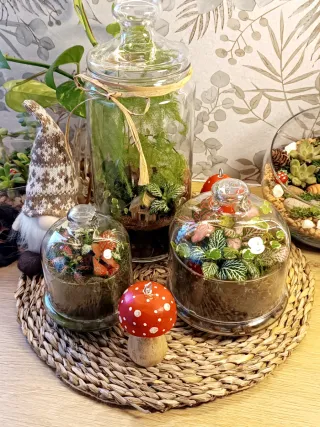 Terrarios autosustentables. Original regalo Navida