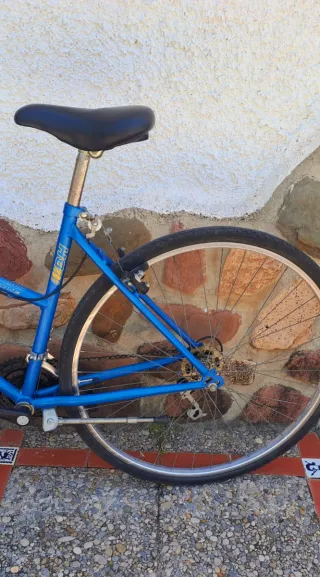 Bicicleta Alaska Azul