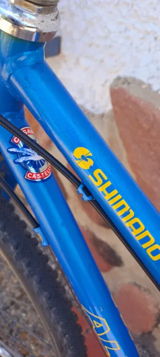 Bicicleta Alaska Azul