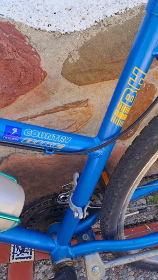 Bicicleta Alaska Azul