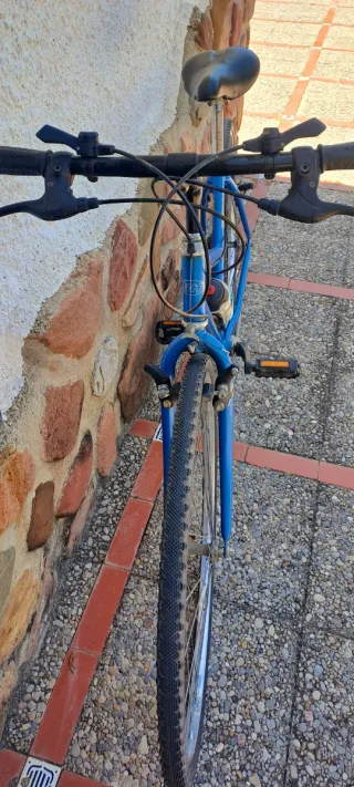 Bicicleta Alaska Azul