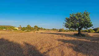 Terreno en venta en Llucmajor Interior en Llucmajor