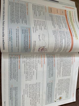 LENGUA CASTELLANA Y LITERATURA 2 BLOQUES (CER)