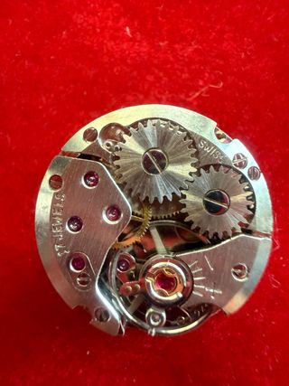 Movimento Orologio Donna 17 Rubini Swiss