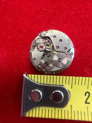 Movimento Orologio Donna 17 Rubini Swiss