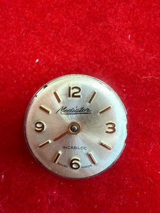 Movimento Orologio Donna 17 Rubini Swiss