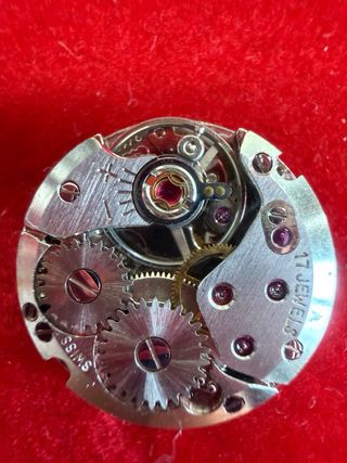 Movimento Orologio Donna 17 Rubini Swiss