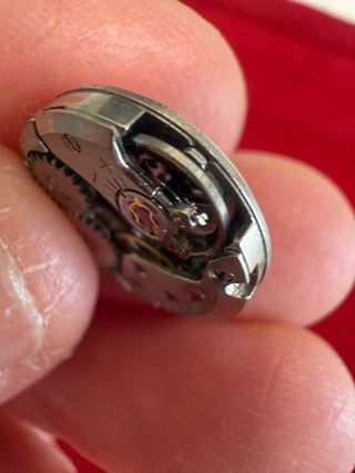 Movimento Orologio Donna 17 Rubini Swiss