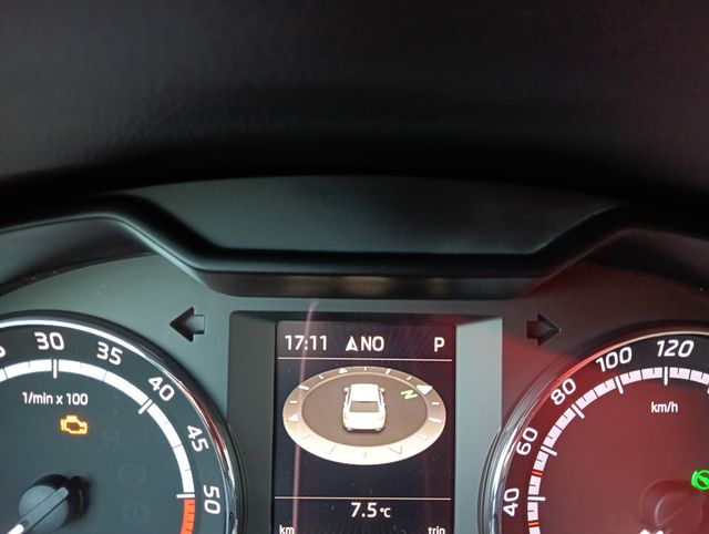 Skoda Octavia 2.0 TDI CR 184cv DSG RS