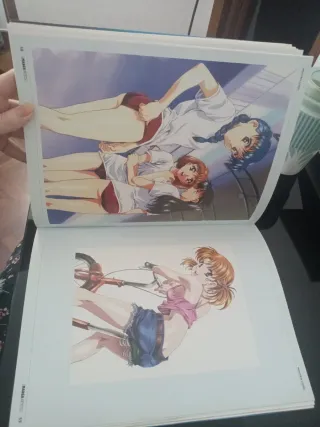 Libro de ilustraciones Manga a color.