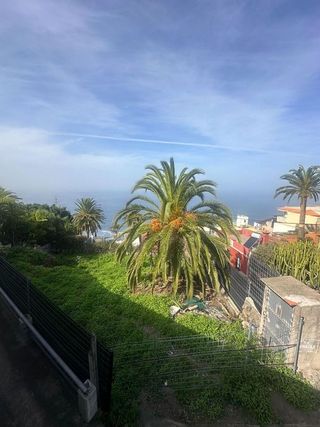 Terreno en venta en Sauzal (El)