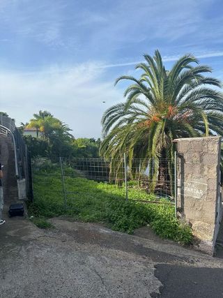 Terreno en venta en Sauzal (El)