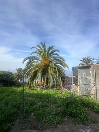 Terreno en venta en Sauzal (El)