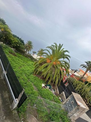 Terreno en venta en Sauzal (El)