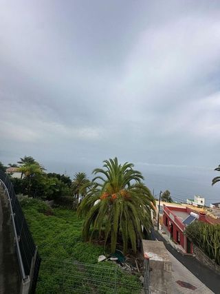 Terreno en venta en Sauzal (El)