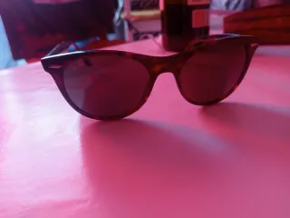 Gafas de sol Ray-Ban Negras/Marrones con estuche o