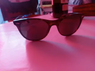 Gafas de sol Ray-Ban Negras/Marrones con estuche o