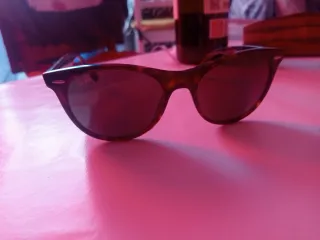 Gafas de sol Ray-Ban Negras/Marrones con estuche o