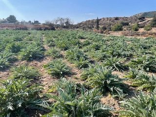 Solar en venta en Totana