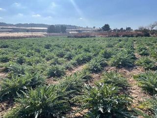 Solar en venta en Totana