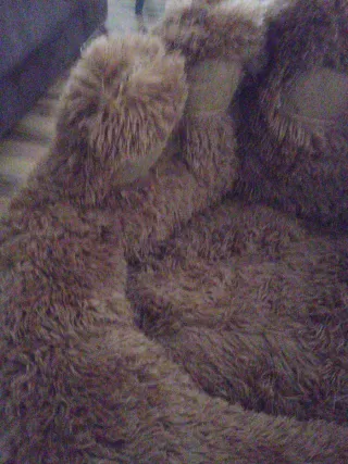 Cama para perro sin usar