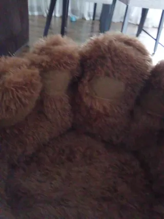 Cama para perro sin usar