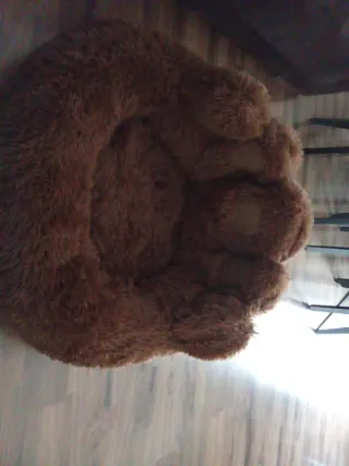 Cama para perro sin usar