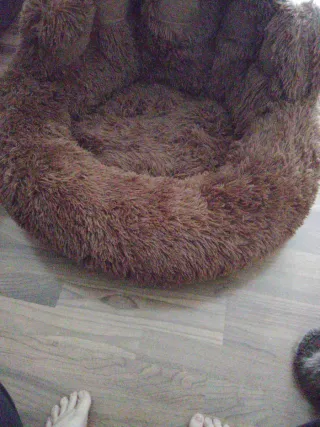 Cama para perro sin usar