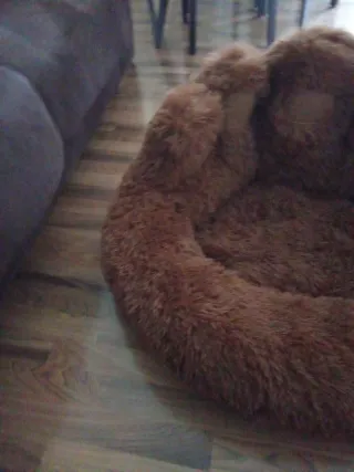 Cama para perro sin usar