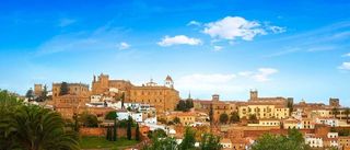 Nave industrial en venta en Plasencia