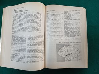 Libro Principios de Psicopatologia