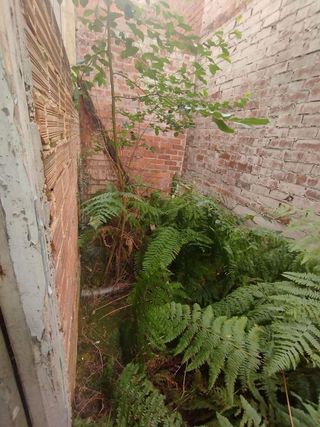 Local comercial en venta en El Llano en Gijón