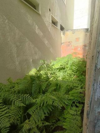 Local comercial en venta en El Llano en Gijón