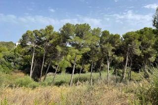 Solar en venta en Sotogrande Alto en San Roque