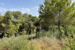 Solar en venta en Sotogrande Alto en San Roque