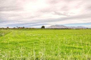 Terreno en venta en San Isidro (Alicante/Alacant)