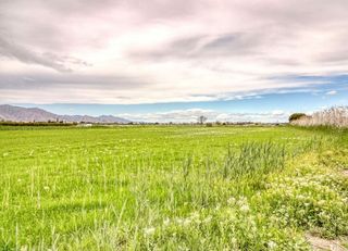 Terreno en venta en San Isidro (Alicante/Alacant)