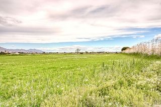 Terreno en venta en San Isidro (Alicante/Alacant)