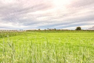 Terreno en venta en San Isidro (Alicante/Alacant)