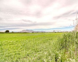 Terreno en venta en San Isidro (Alicante/Alacant)