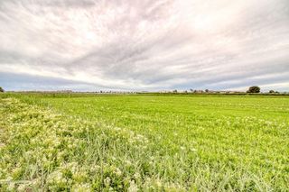 Terreno en venta en San Isidro (Alicante/Alacant)