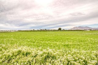 Terreno en venta en San Isidro (Alicante/Alacant)