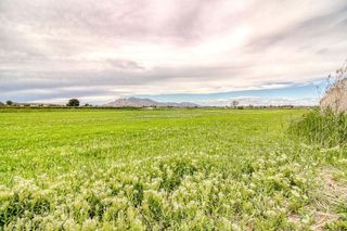 Terreno en venta en San Isidro (Alicante/Alacant)