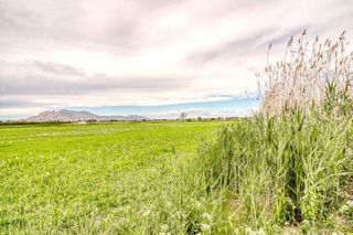 Terreno en venta en San Isidro (Alicante/Alacant)