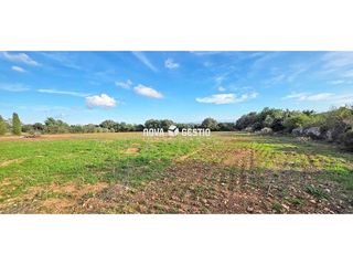 Terreno en venta en Manacor Centro en Manacor