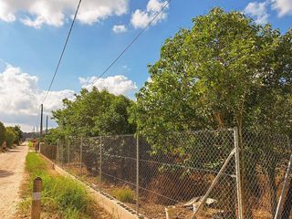 Terreno en venta en Guadassuar